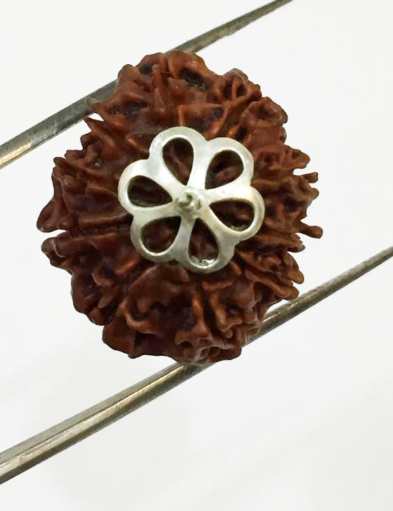 10 Mukhi Certified Rudraksha Silver Pendant (Nepal Origin)